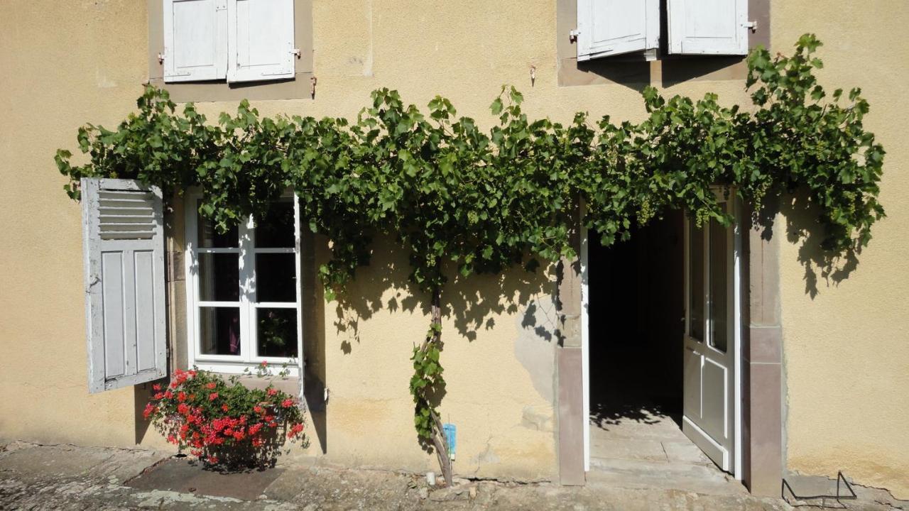 Domaine Les Bachats Rhodes 外观 照片